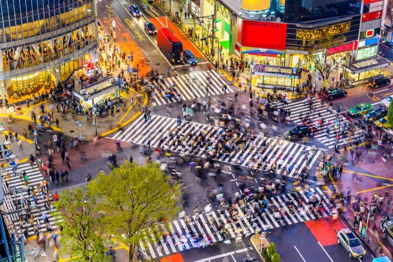 Fashion Districts, Shrines & the World's Busiest Crossing, Tokyo, Japan