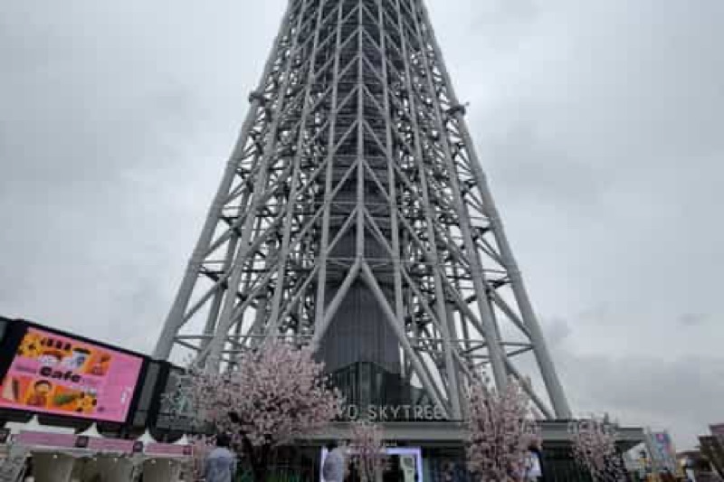 Tokyo Round 2: Fish Market & Skytree, Tokyo · Osaka · Kyoto