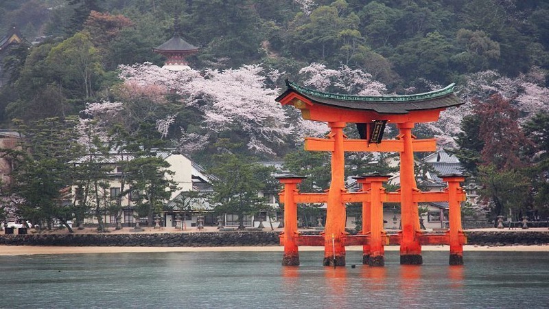 Sacred Island, Floating Torii & an Onsen Under the Stars, Hiroshima, Japan