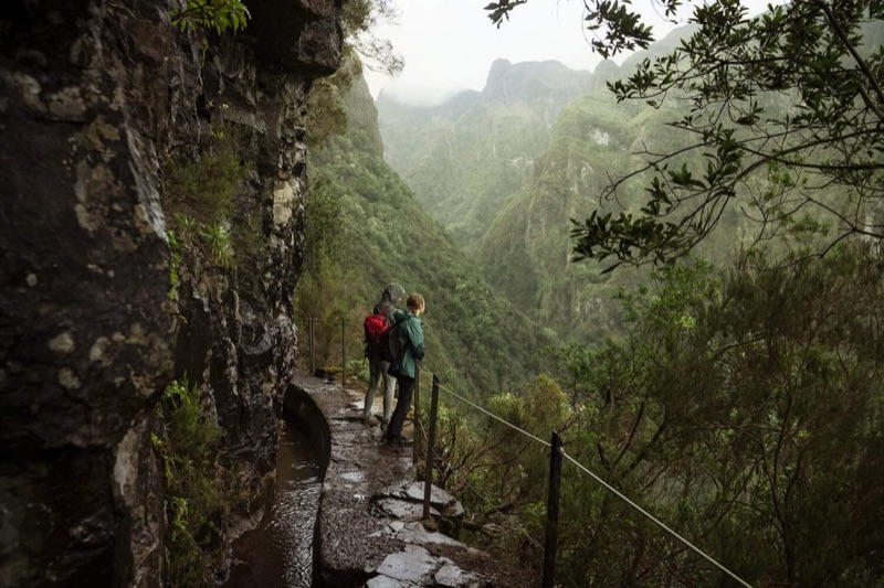 Into the Laurel Forest — PR9 Levada Walk, Madeira, Portugal