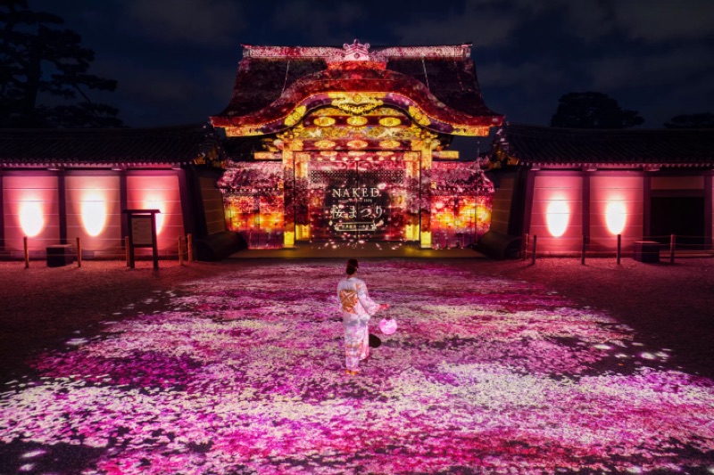 Sakura Buffer I: Palace Greens, Moats and an Artful Night, Tokyo, Japan