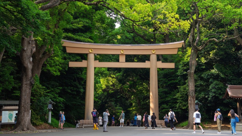 Shrine Forests, Street Style and Shibuya Energy, Tokyo, Japan