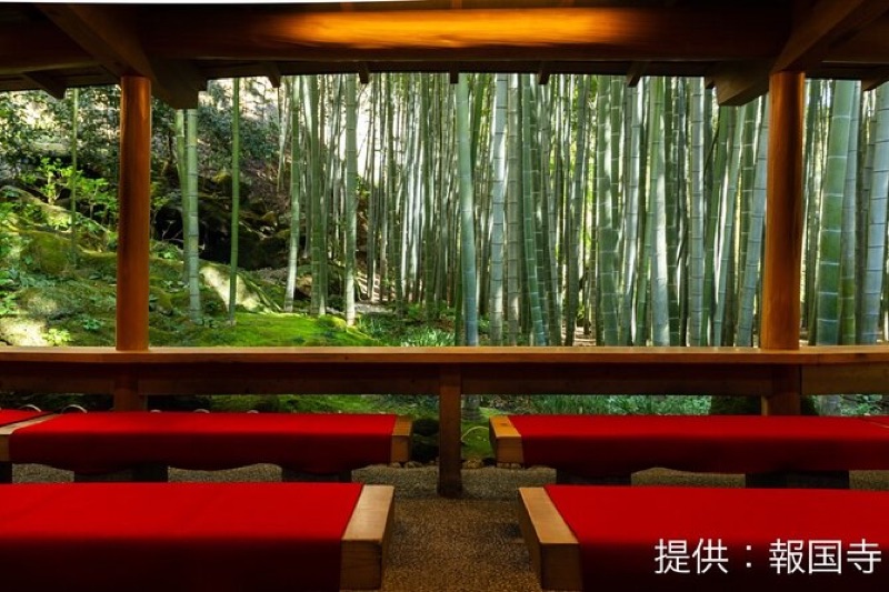 Bamboo Groves, Zen Temples & Sake Tasting, Japan