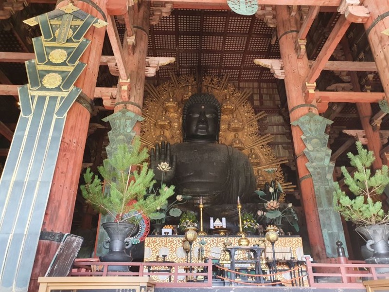 1,000 Wild Deer & the World's Biggest Bronze Buddha, Japan