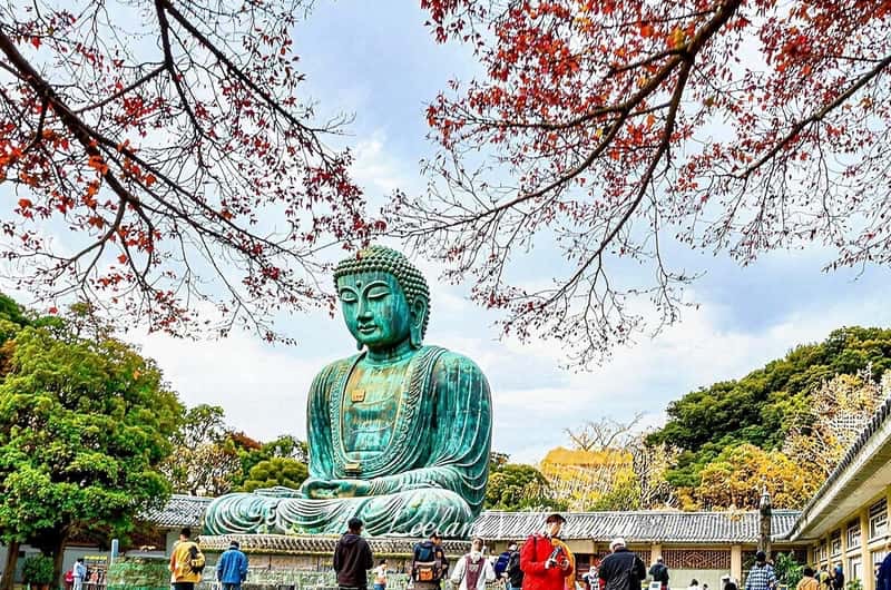 Great Buddha & Coastal Escape, Tokyo & Kyoto, Japan