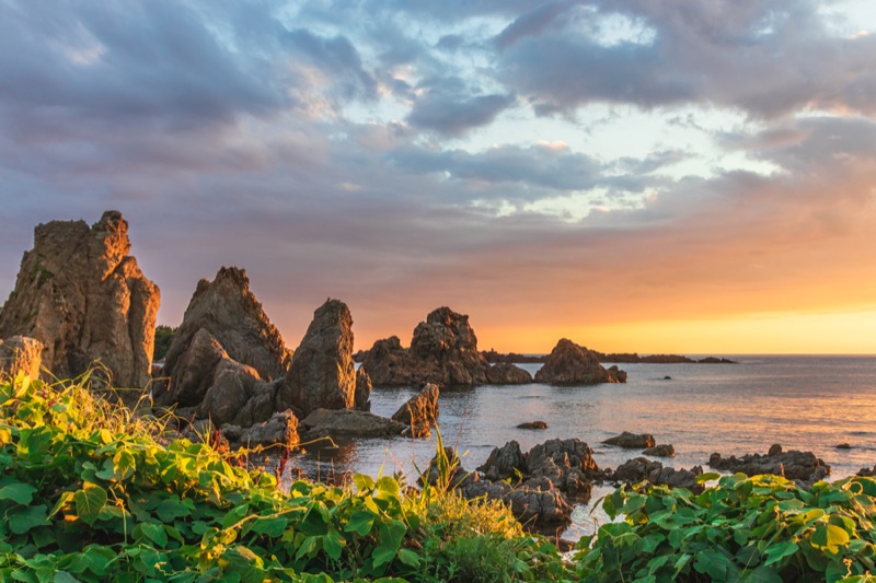 Coastal Morning, Last Tastes & Farewell, Niigata, Japan