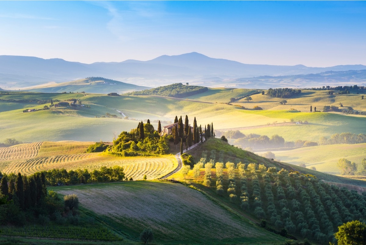 Rolling Tuscan hills with cypress trees in Val d'Orcia, Italy