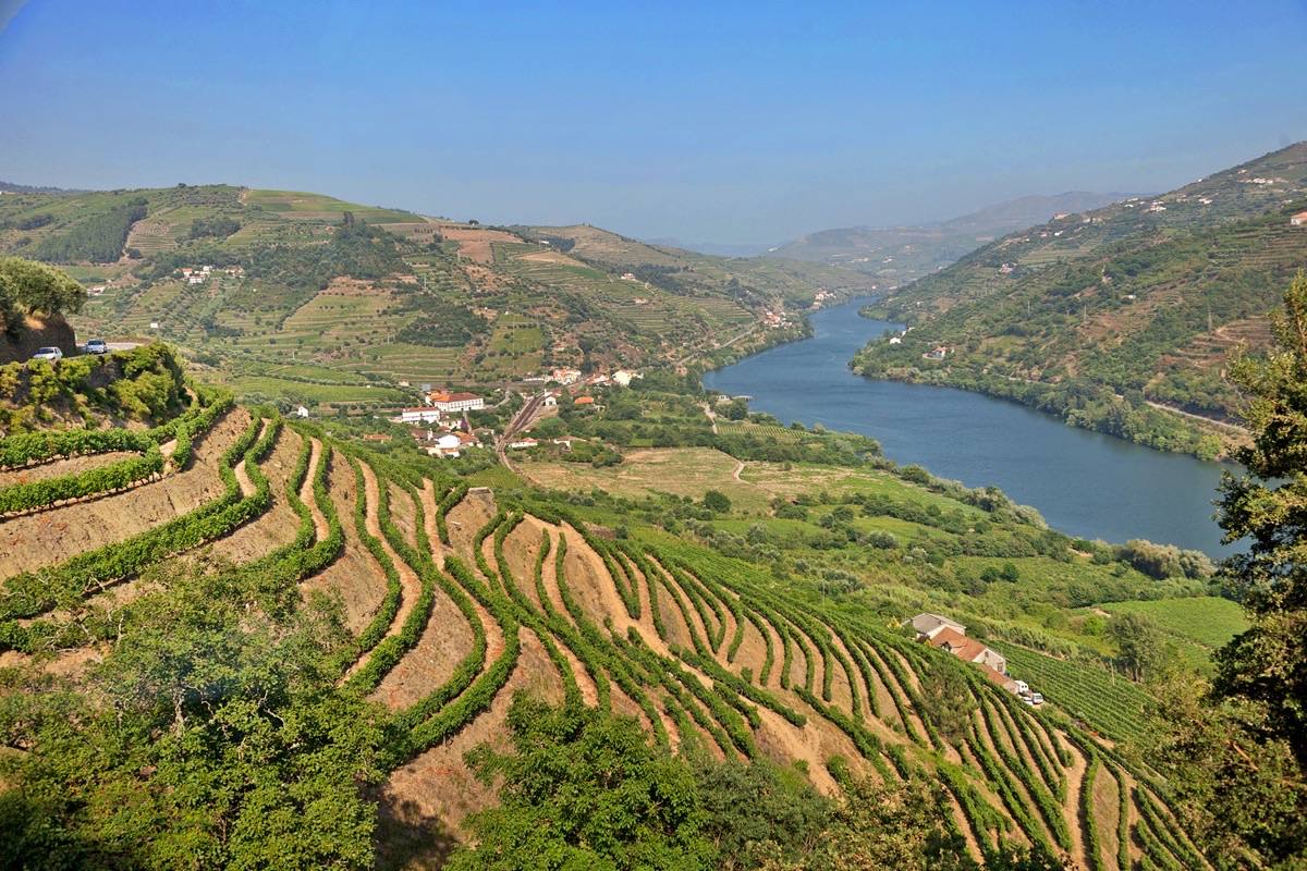 Sweeping terraced vineyards descending to the Douro River in Portugal's wine country