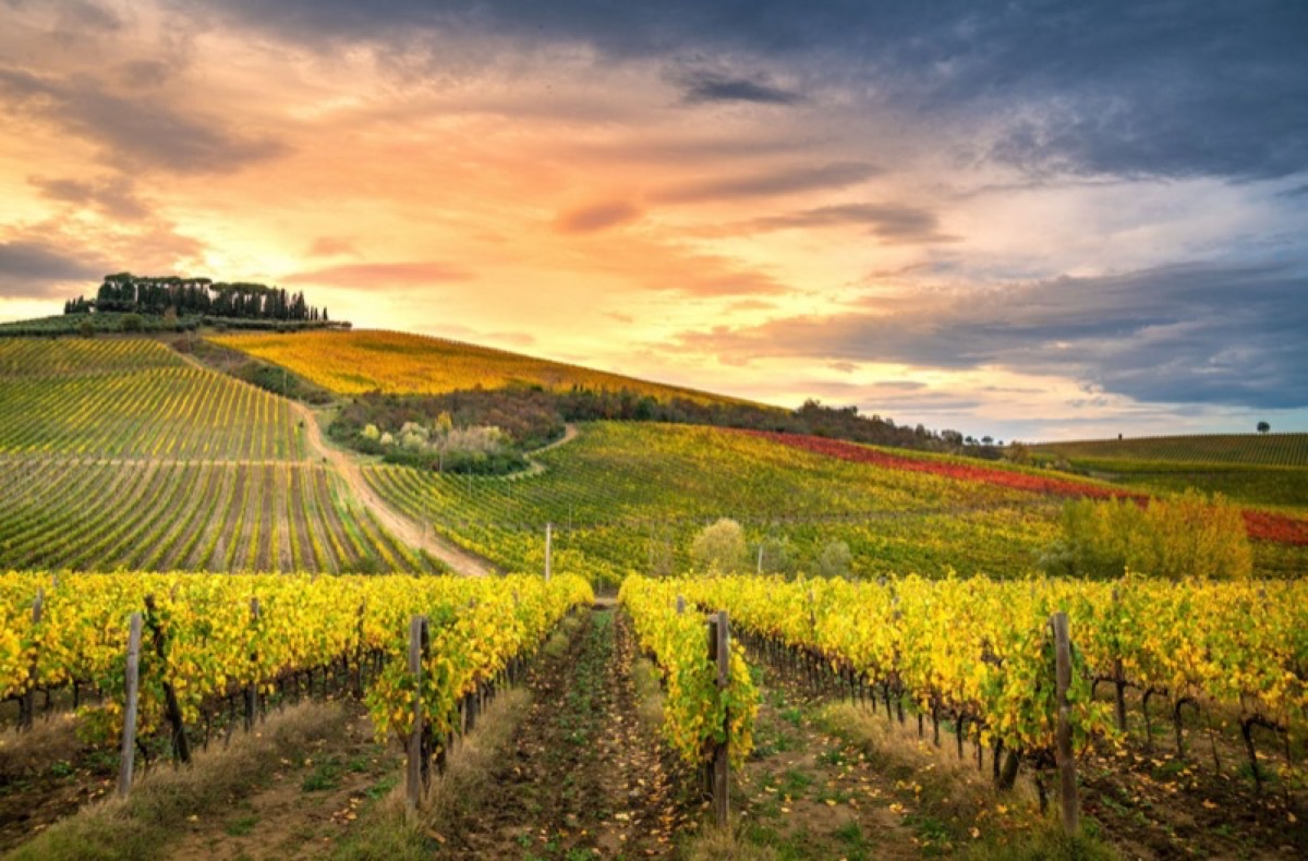 Rolling hills and vineyards of Chianti wine country, Tuscany Italy