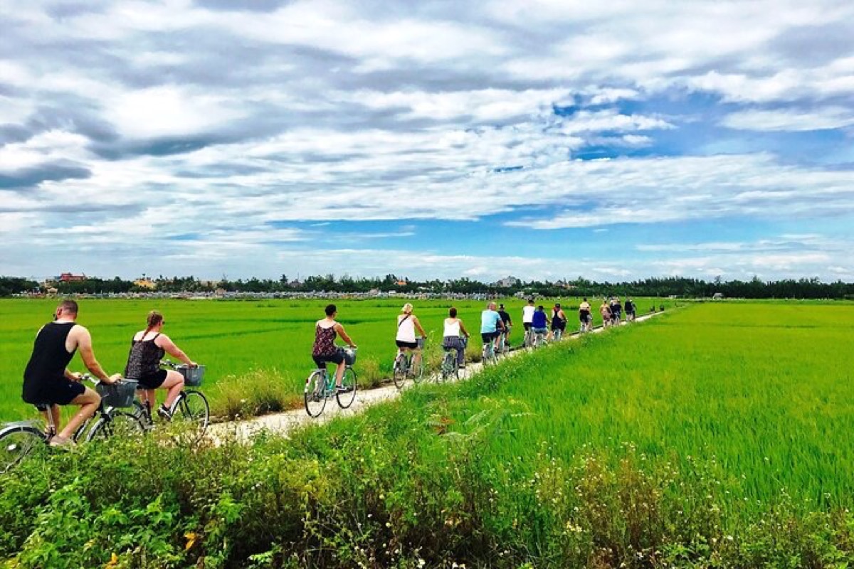 Breathtaking terraced rice fields with dramatic mountain backdrop near Hoi An countryside