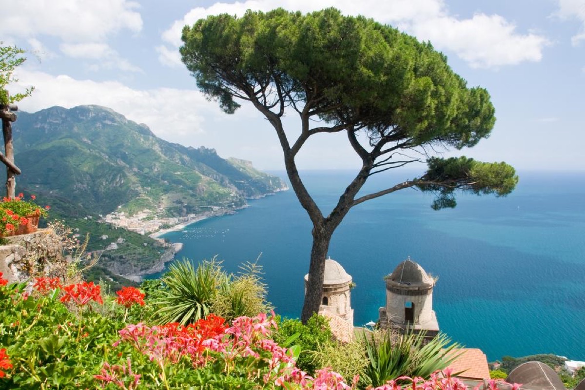 Villa Rufolo gardens in Ravello with iconic pine tree, colorful flowers and sweeping Amalfi Coast views