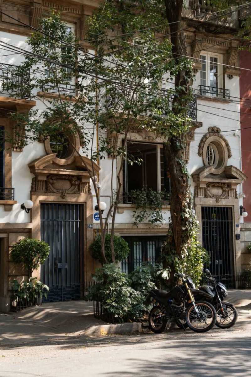 Ornate Beaux-Arts building facades with climbing vines on a Roma Norte street, Mexico City