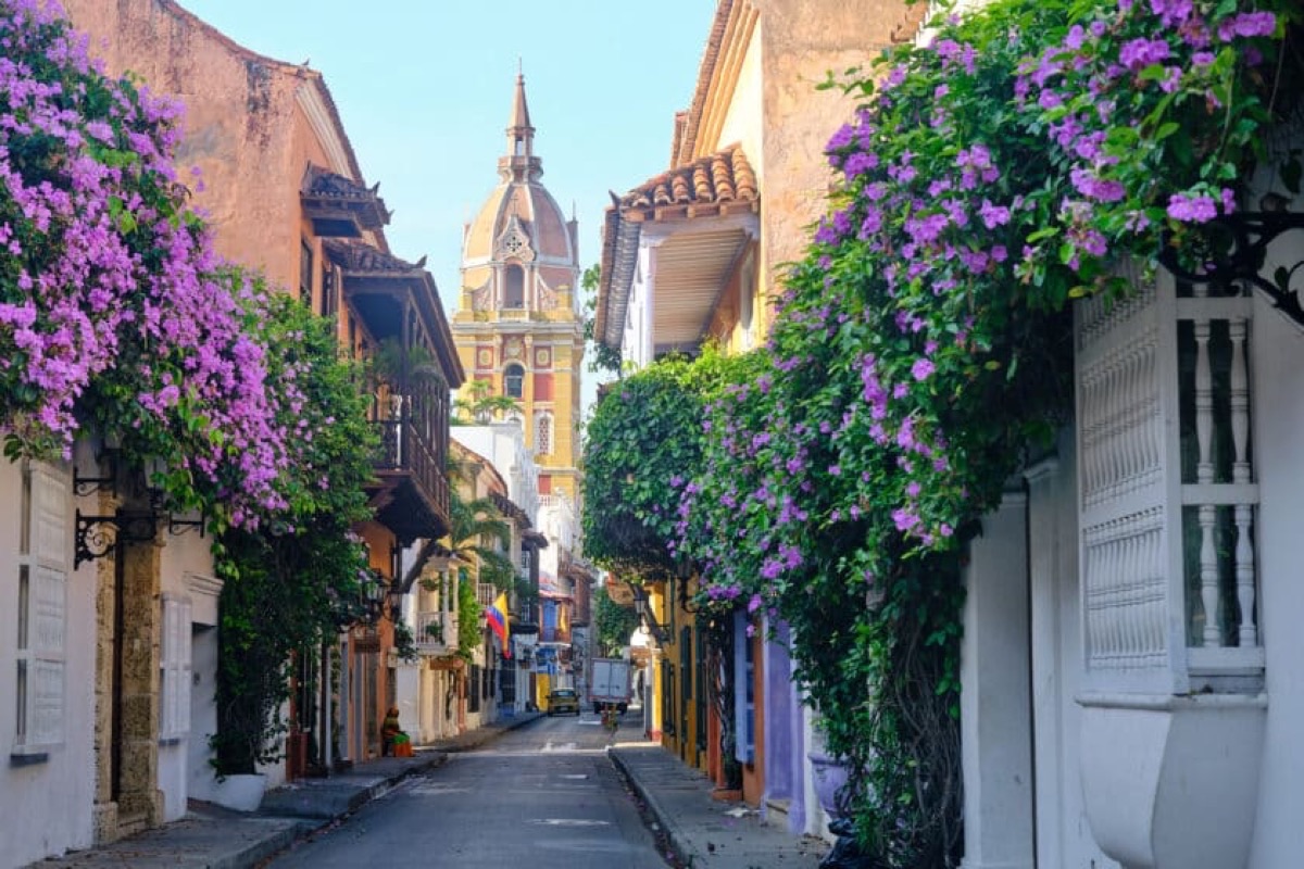 Purple bougainvillea framing a colorful colonial street leading to the Cathedral of Cartagena, Colombia