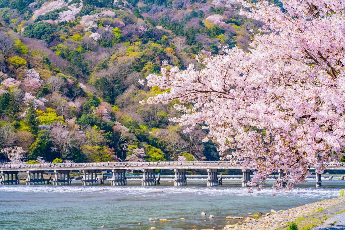 Togetsukyo Bridge at Arashiyama with cherry blossoms and Kyoto mountains in the background