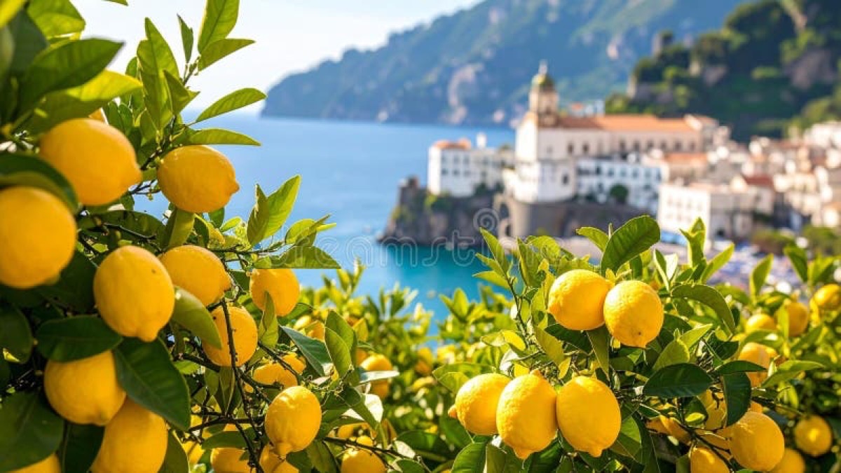 Sun-drenched Amalfi Coast lemon trees with cliffside village in the distance