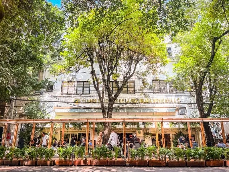 Sidewalk dining on a tree-lined street in Roma Norte, Mexico City