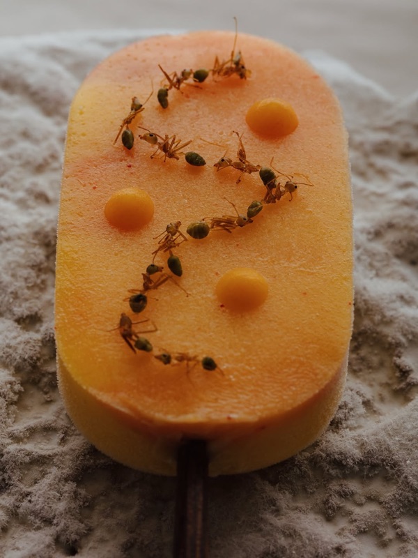 Restaurant Botanic in Adelaide Botanic Gardens, Adelaide