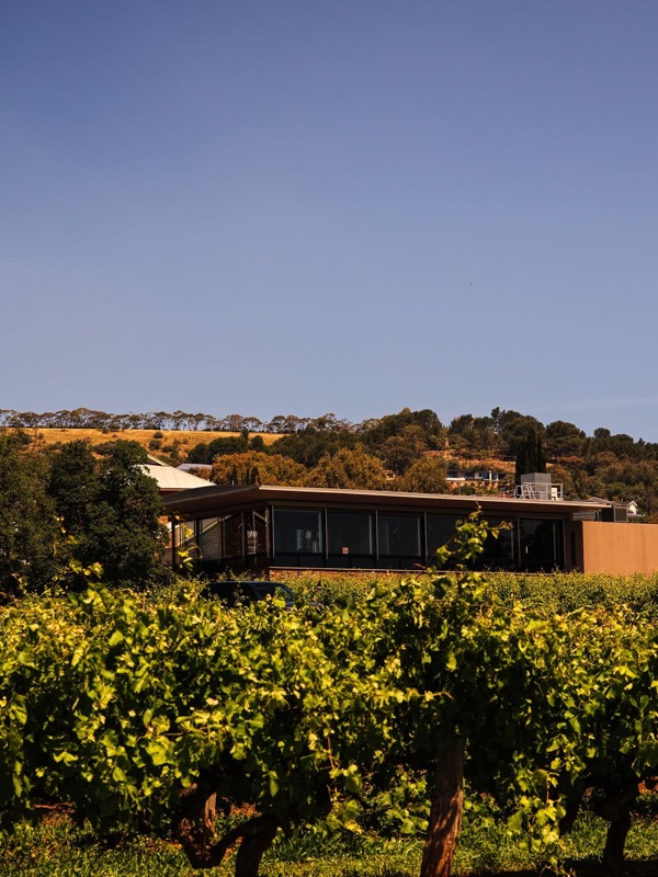 Magill Estate Restaurant vineyard exterior in Magill, Adelaide
