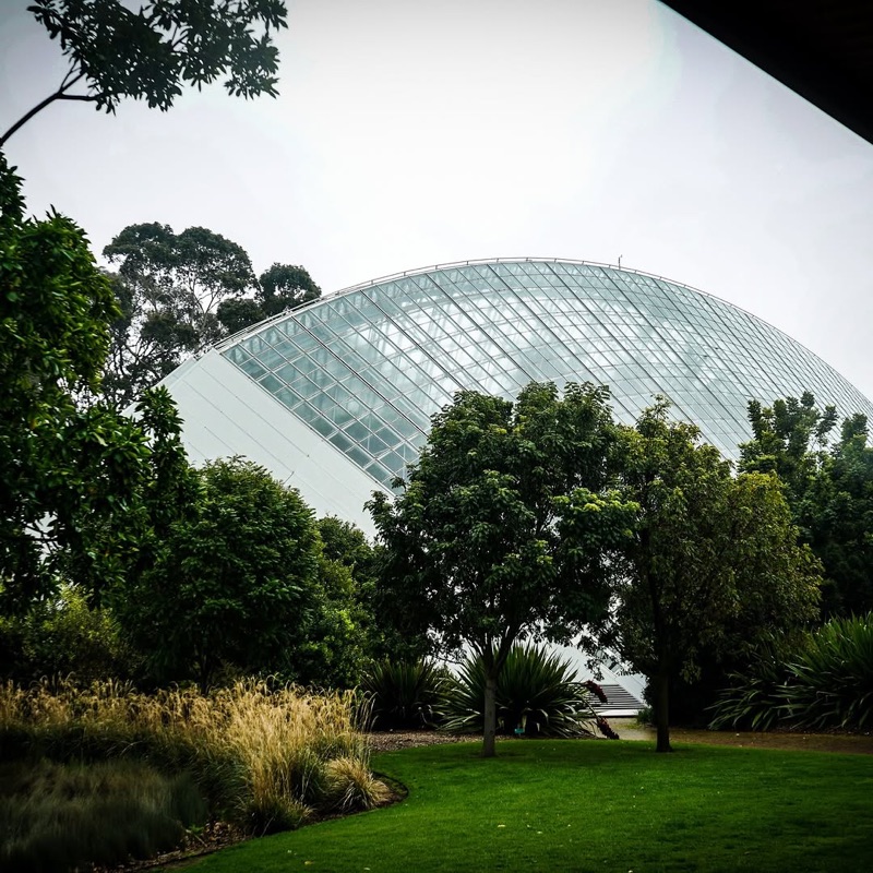 Adelaide Botanic Garden in Adelaide CBD, Adelaide