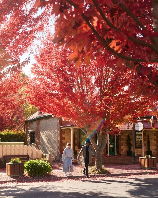 Hahndorf in Adelaide Hills, Adelaide