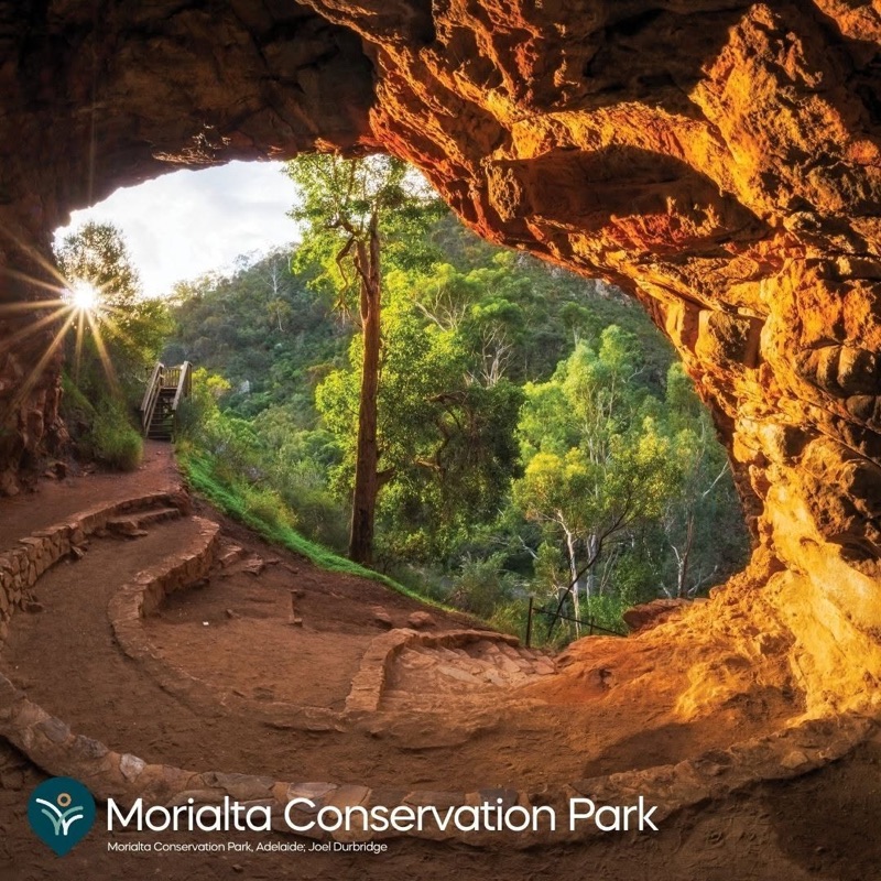 Morialta Conservation Park