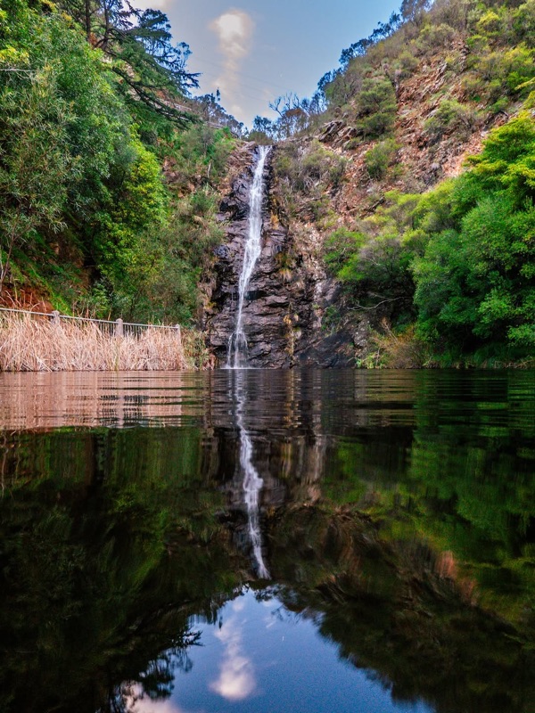 Waterfall Gully (Measday's Lookout)