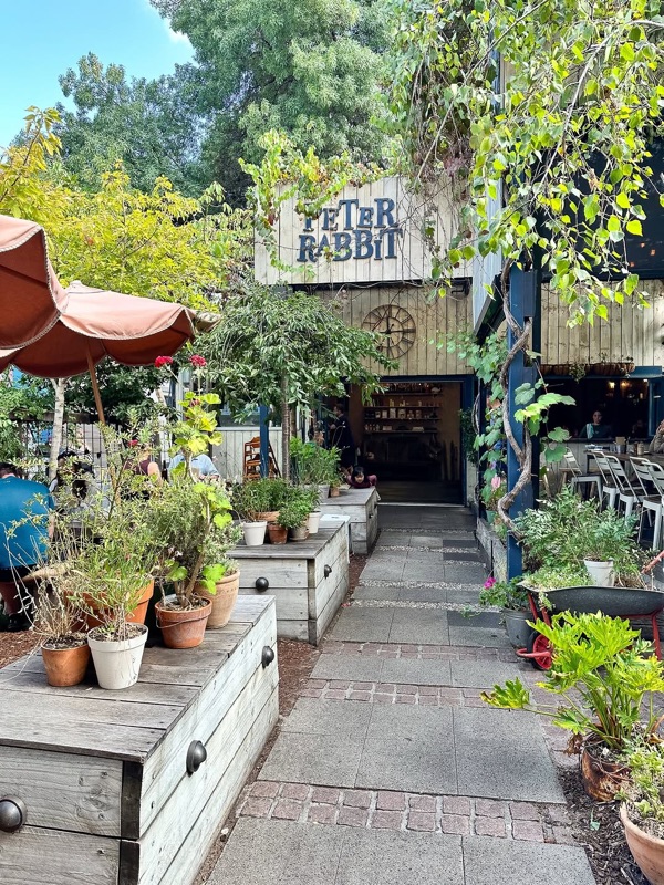Peter Rabbit garden cafe in Adelaide CBD, Australia