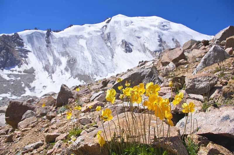 Peak Molodezhny (Youth Peak)