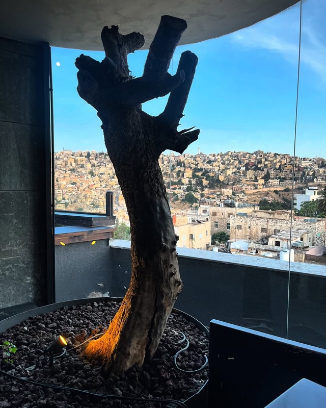 Cantaloupe Gastro Pub in Jabal Amman (Rainbow Street), Amman