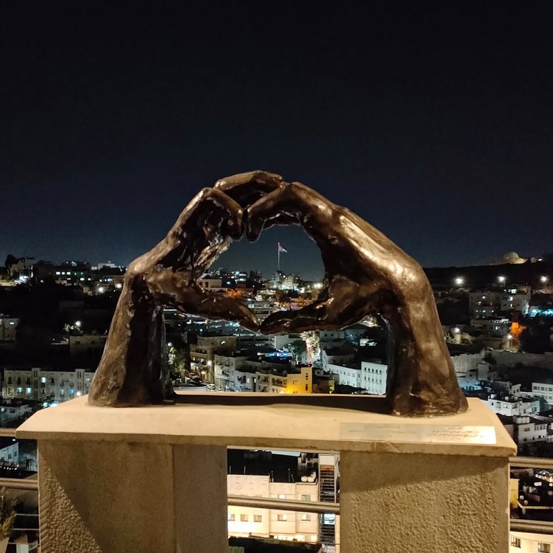 Wild Jordan Center Rooftop (The View)