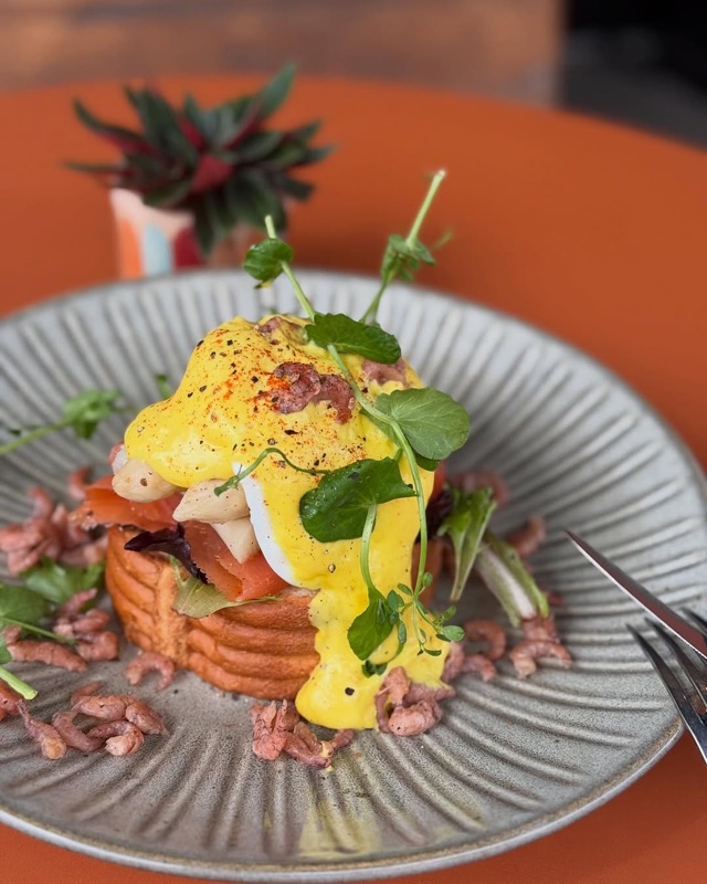 Fred & Breakfast in Theaterbuurt, Antwerp