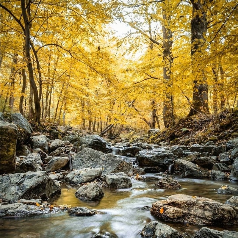Ninglinspo Valley hiking trail in the Belgian Ardennes