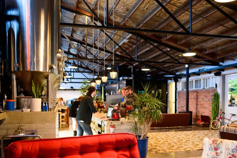 12 Best Craft Beer Bars & Breweries in Auckland (2026)