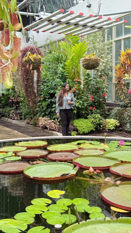 Auckland Domain (Wintergardens)