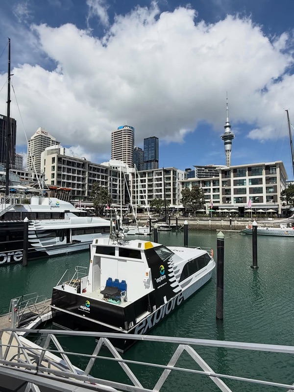 Viaduct Harbour / Wynyard Quarter