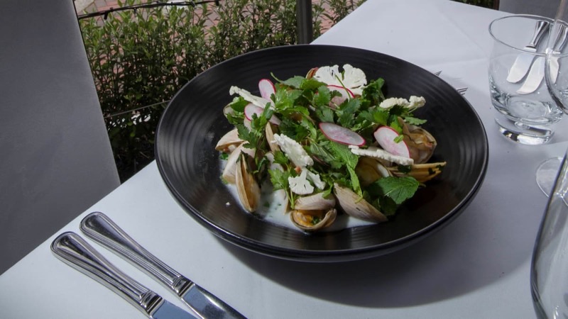 Soul Bar & Bistro in Viaduct Harbour
