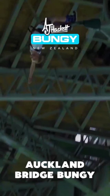 Auckland Harbour Bridge (Bridge Climb/Bungy)