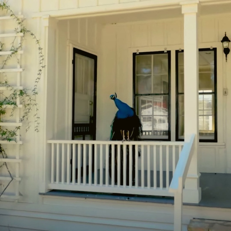 Mayfield Park and Preserve