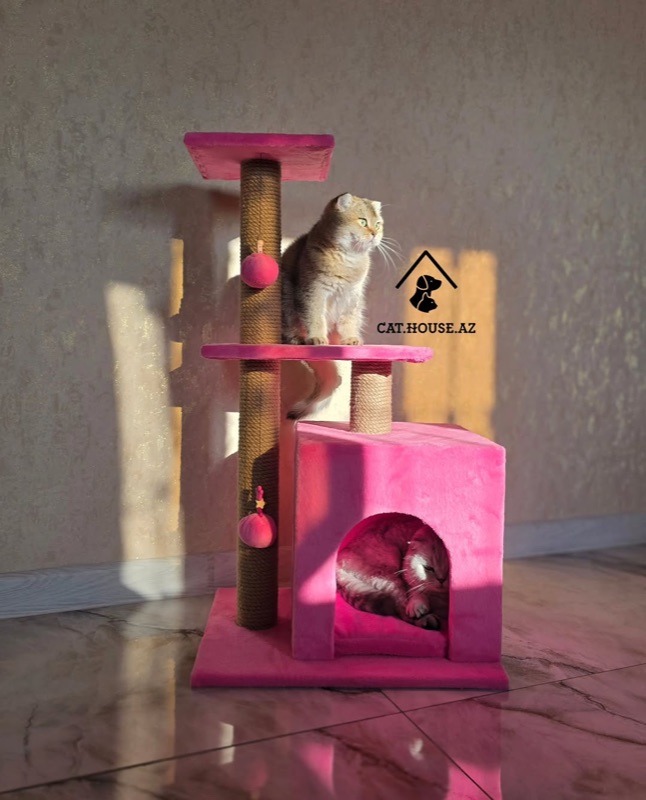 Pishik Evi (Cat House)