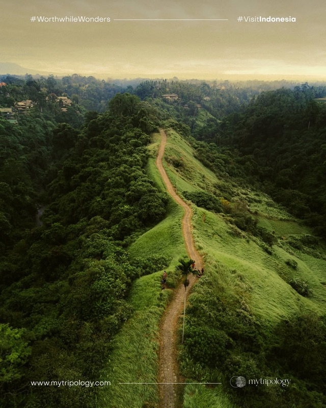 Campuhan Ridge Walk