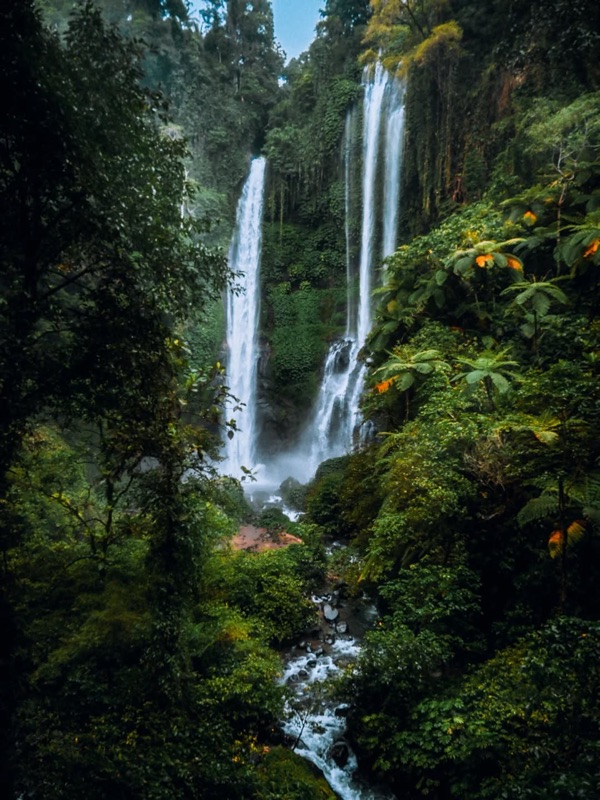 Sekumpul Waterfall Viewpoint