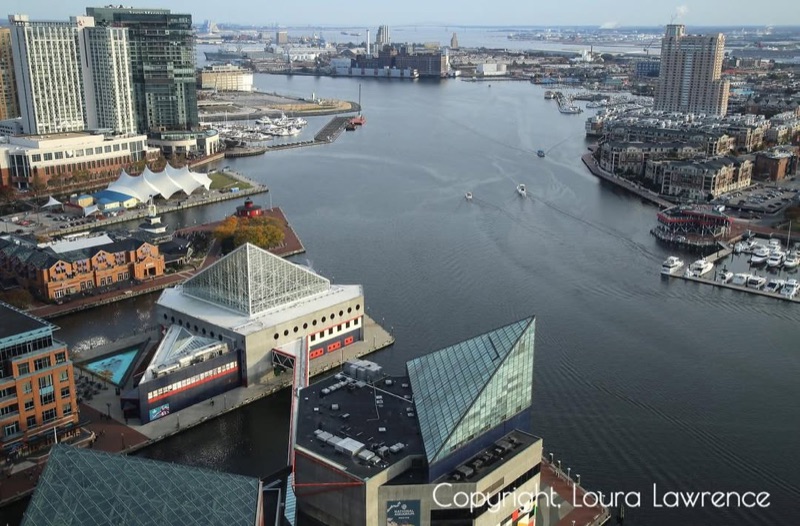 Top of the World Observation Level (World Trade Center)