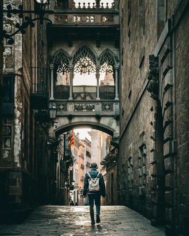 Gothic Quarter (Barri Gòtic)
