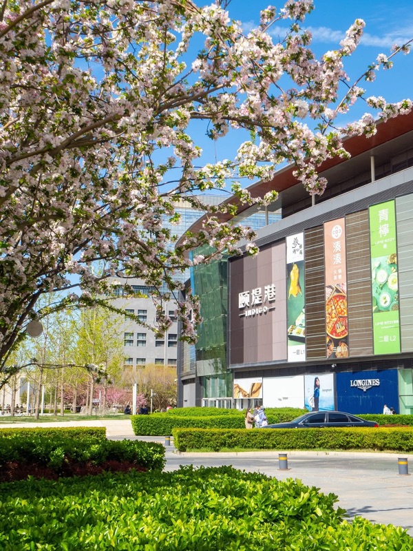 Indigo Mall Food Court