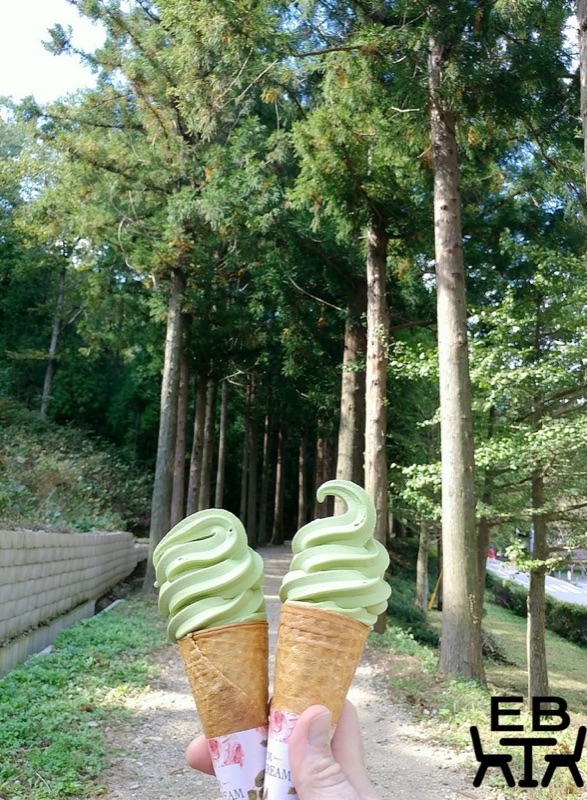 9 Best Green Tea Desserts in Boseong
