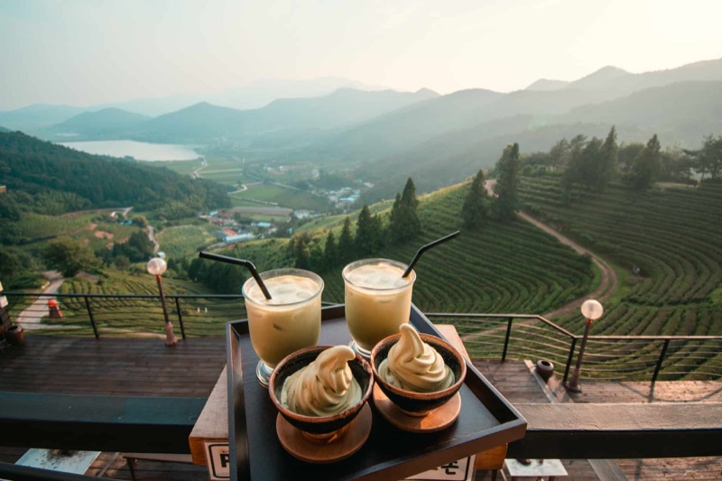 Korea Tea Museum in Boseong with traditional tea and green tea desserts