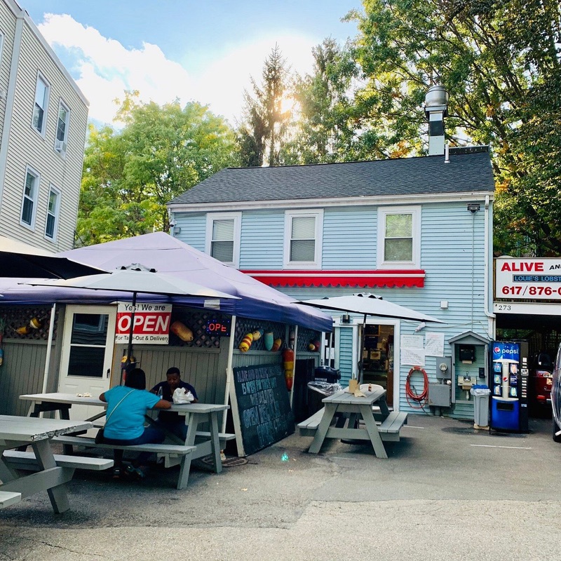 Alive and Kicking Lobsters Cambridge