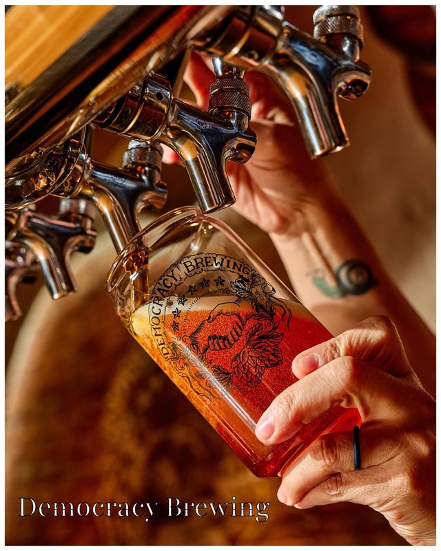 Democracy Brewing