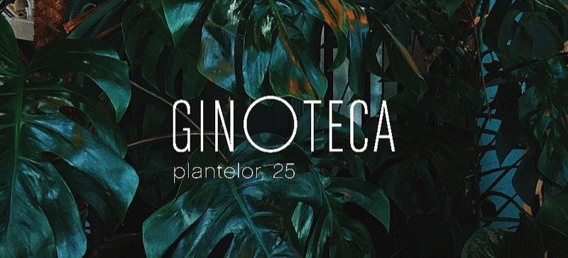 Ginoteca gin bar on Strada Plantelor in Bucharest
