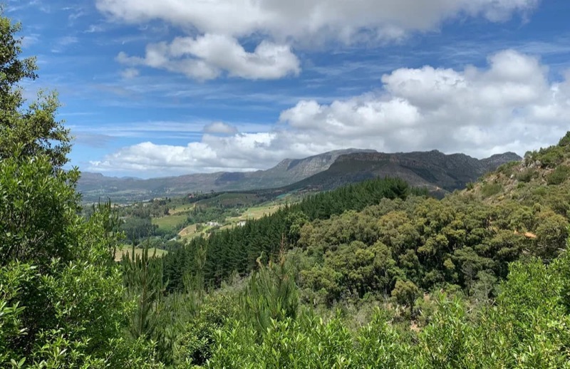 Constantia Nek to Kirstenbosch in Cape Town
